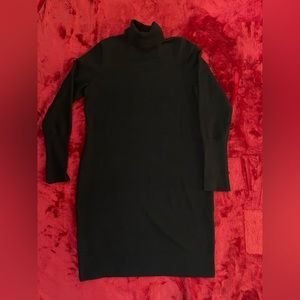 Express Turtleneck Fitted Dress